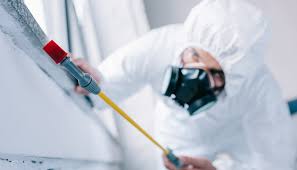 Best Fumigation Services  in Laurel Hollow, NY